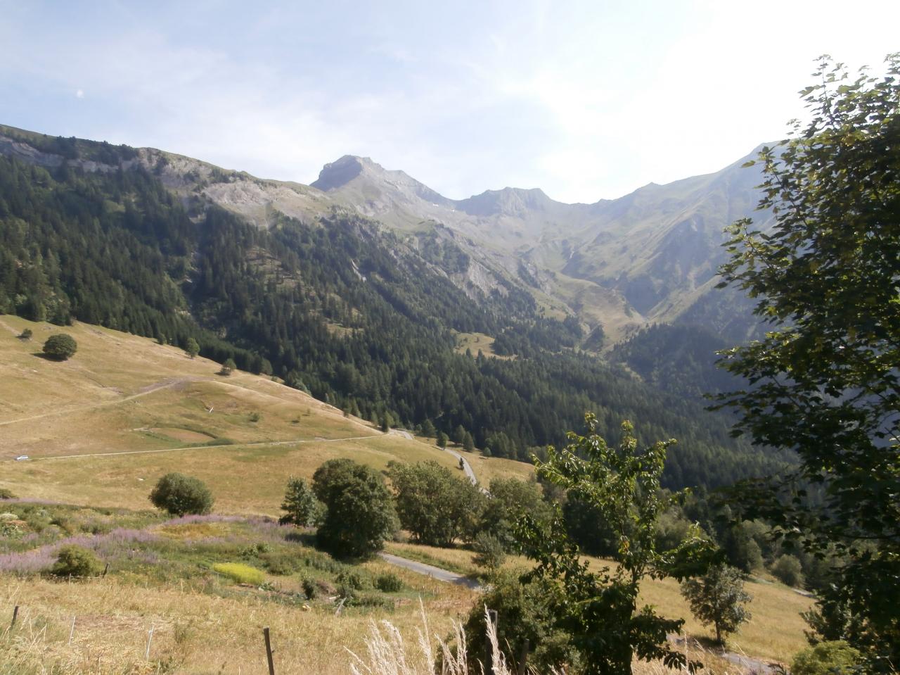 VILLARD REYMOND (8)
